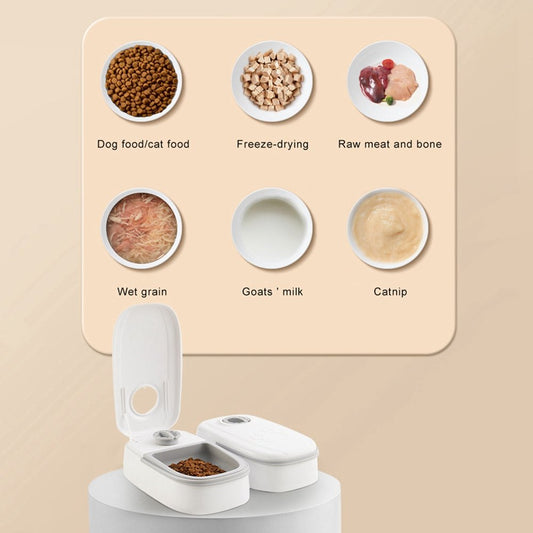 Automatic pet feeder with stainless steel bowl and gravity water dispenser for cats and dogs