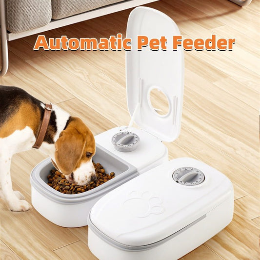 Automatic pet feeder with stainless steel bowl and gravity water dispenser for cats and dogs